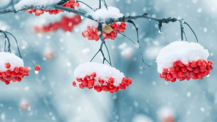 Морозно и снежно: погода в Свердловской области 8-10 марта