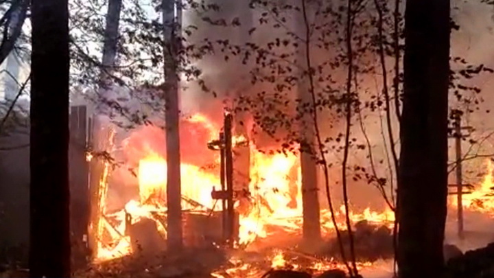 Подожженный тополиный пух стал причиной сразу нескольких крупных пожаров на Среднем Урале