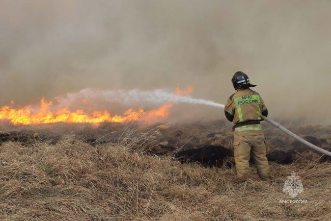 С начала пожароопасного сезона в УрФО зафиксировано 459 лесных пожаров