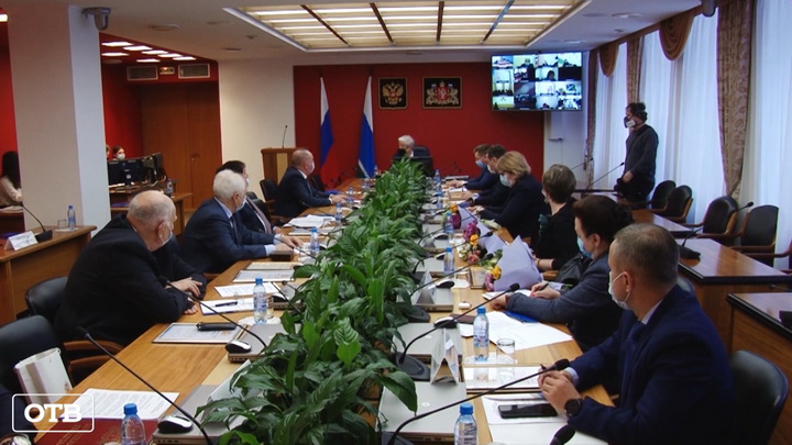 В Общественной палате Свердловской области подвели итоги 2020 года