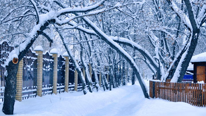 Умеренный мороз и снег: погода в Свердловской области 24-26 января