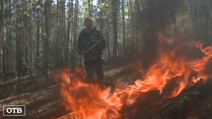 8 800 100-94-00: сообщать о лесных пожарах можно из любой точки Свердловской области
