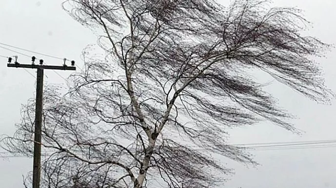 В Свердловской области ожидается ветер с порывами до 18 м/с
