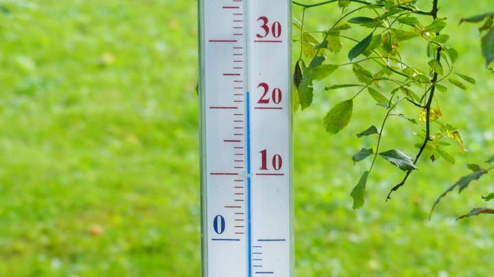 Весенняя жара: погода в Свердловской области 12-14 апреля