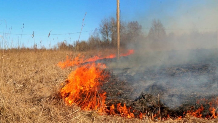 8-10 мая в Свердловской области сохранится пожарная опасность