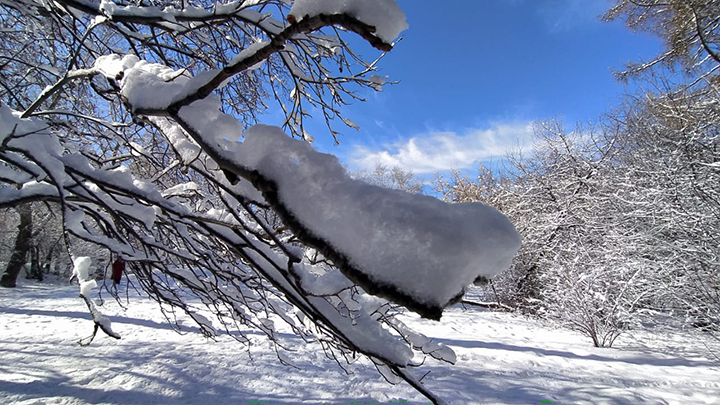 Снег и ночные морозы: погода в Свердловской области 9-11 ноября
