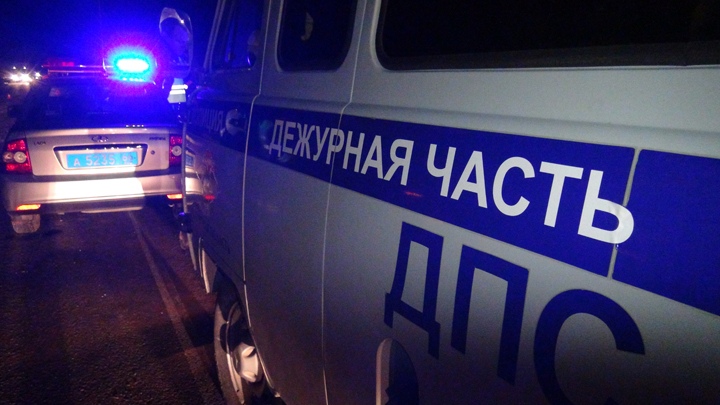 3 человека пострадали в ДТП из-за лося в Белоярском районе