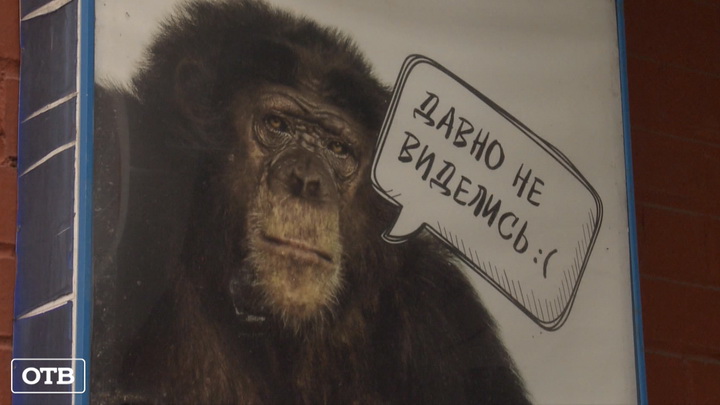 Обитатели Екатеринбургского зоопарка соскучились без посетителей
