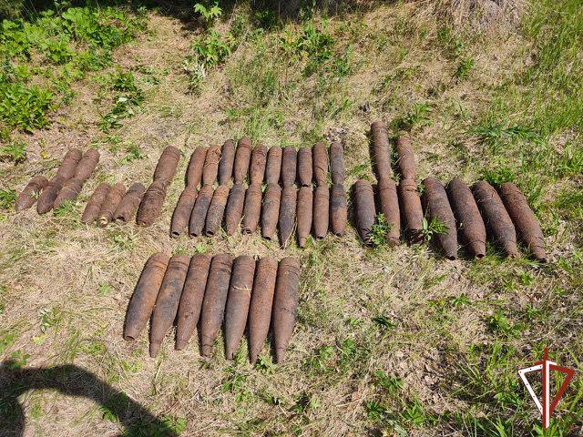Грибники нашли склад боеприпасов в уральском лесу 