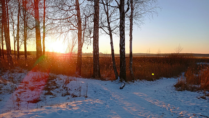 Резкое потепление: погода в Свердловской области 25-27 января