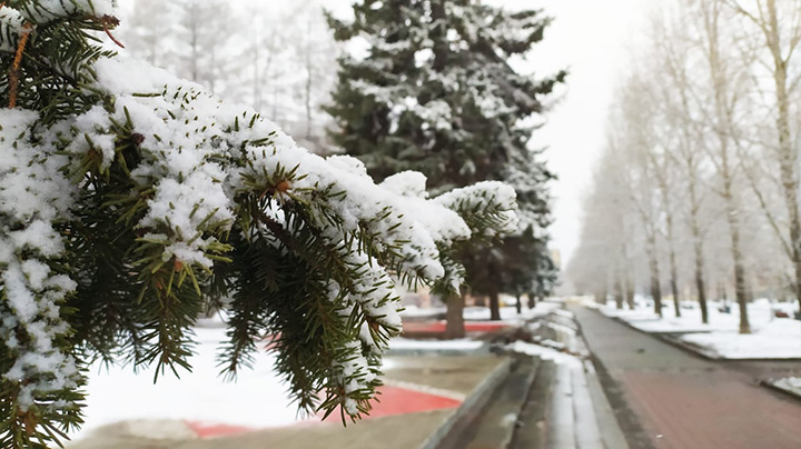 Заморозки и мокрый снег: погода в Свердловской области 5-7 октября