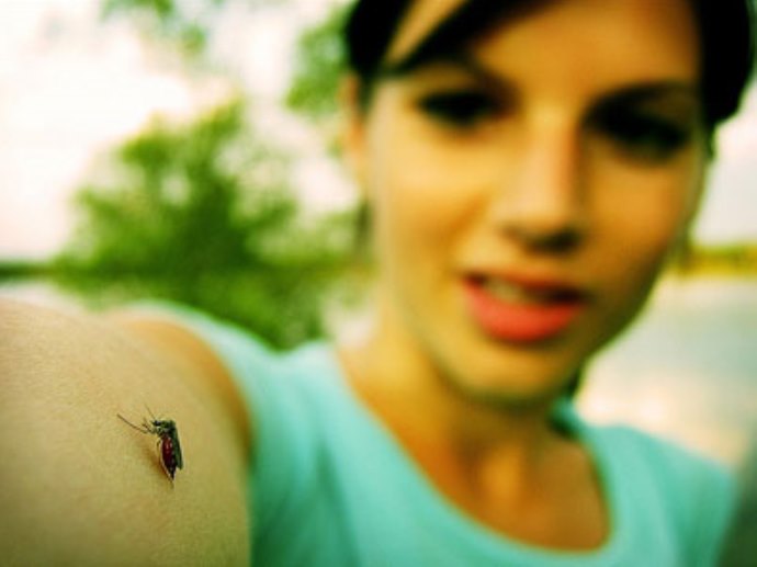 В Пермском крае комары выберут «самую вкусную» женщину