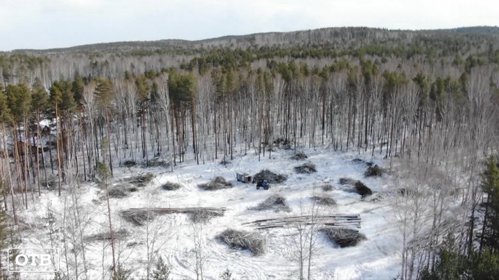 Жители окраины Екатеринбурга выступили против вырубки леса