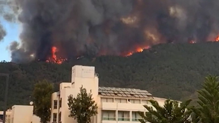 В семи провинциях Турции бушуют лесные пожары