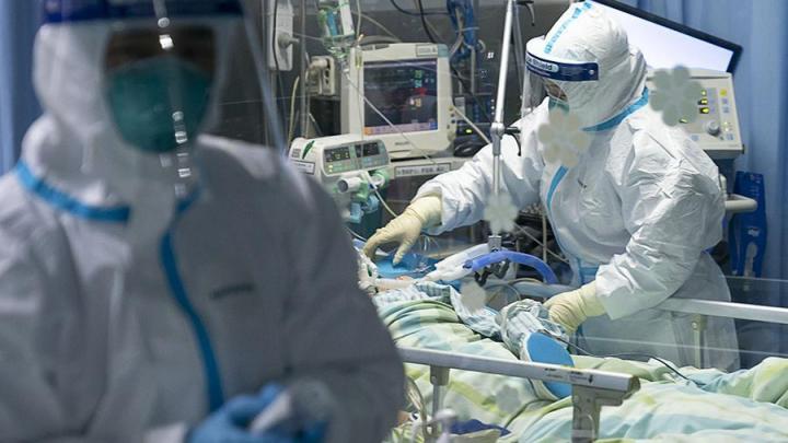 В России зарегистрировано 114 случаев заражения коронавирусом