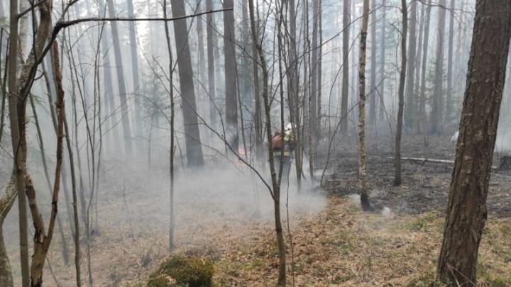 В Свердловской области продолжает действовать особый противопожарный режим