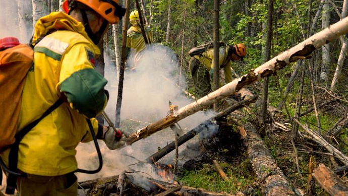 Природный пожар в Пелымском городском округе локализован