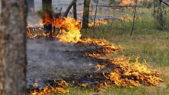 За июль на Среднем Урале возникло 350 лесных пожаров