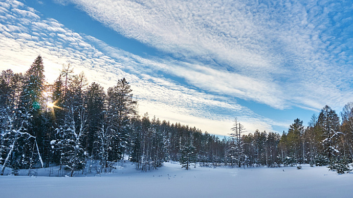Подморозит к концу недели: погода в Свердловской области до 29 декабря