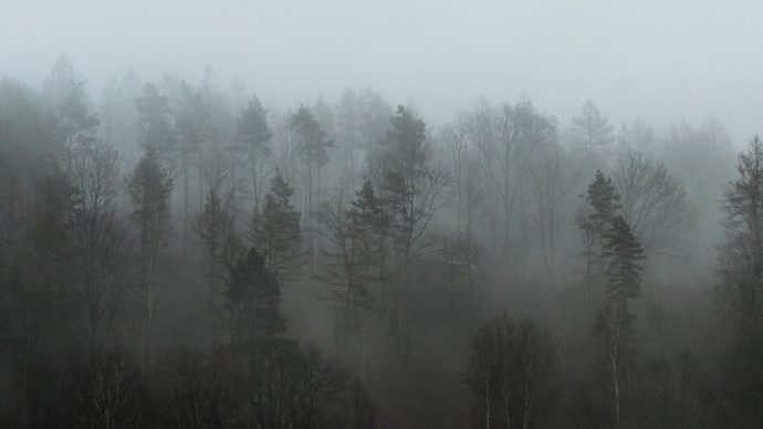 Трассу Пермь – Екатеринбург окутал сильный туман