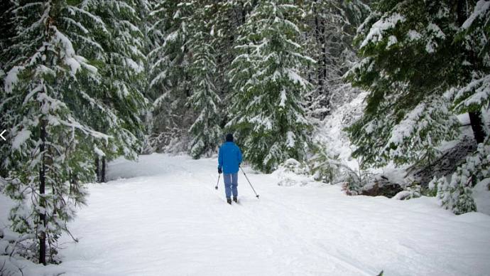 «Центроспас» в Югре нашел заблудившегося в лесу лыжника