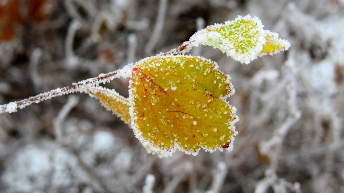 Ночные морозы до −15: погода в Свердловской области 15-17 апреля