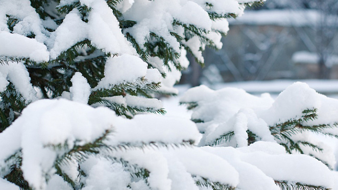 Снегопады возвращаются: погода в Свердловской области на 15-17 февраля