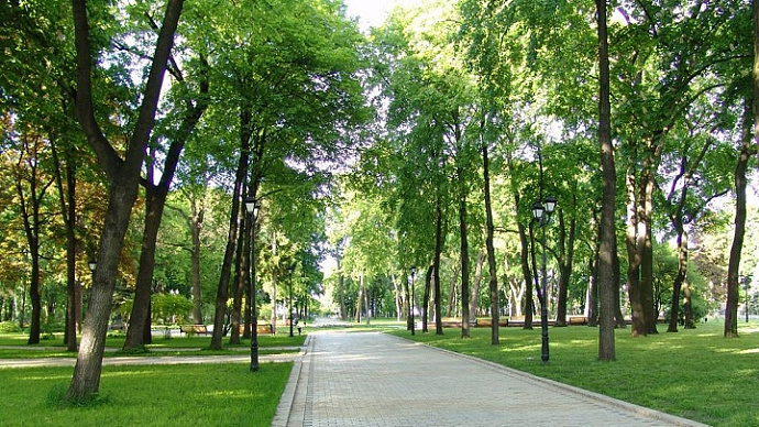 Жителей Екатеринбурга пригласили обсудить проект сквера на Белинского