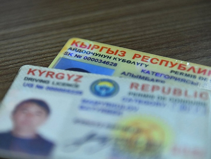 Граждане Киргизии получили право ездить в России по национальным правам