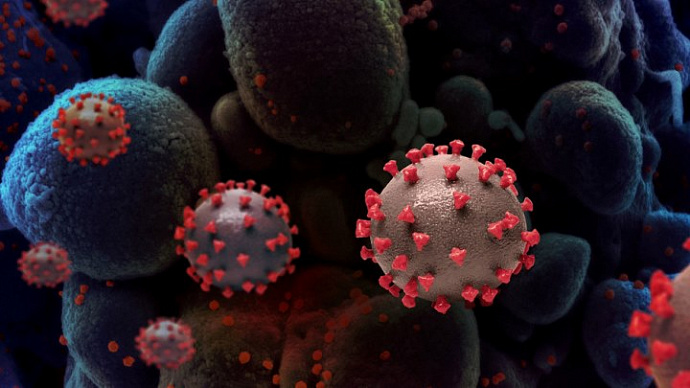 Учёные: новый йота-штамм коронавируса увеличивает смертность на 82 %