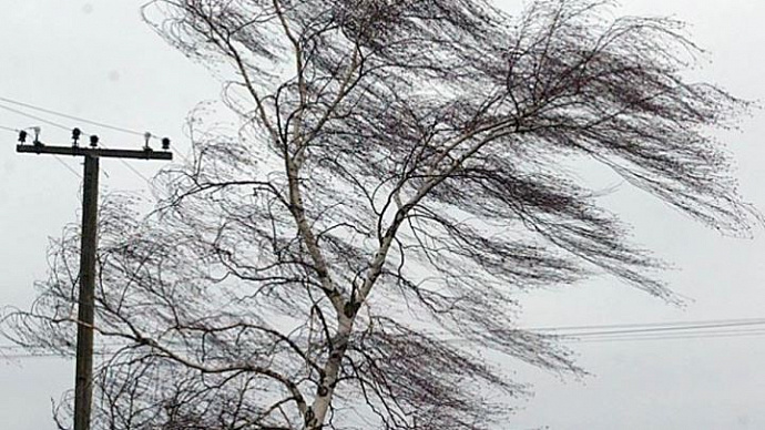 В Свердловской области на 26 ноября объявлено штормовое предупреждение