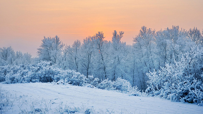 Метели и похолодание: рождественская погода в Свердловской области