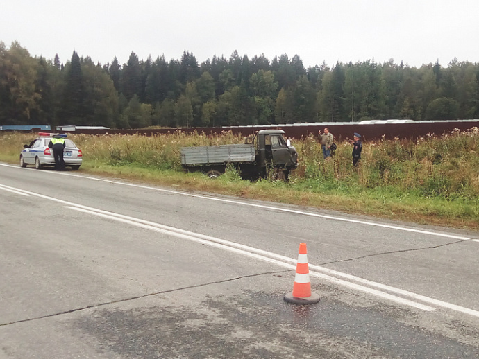 Водитель УАЗ скончался после столкновения с коровой на трассе