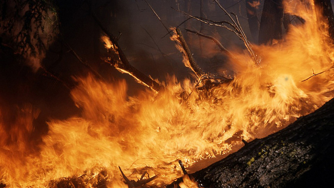 В Свердловской области горят леса на площади 1066 гектаров