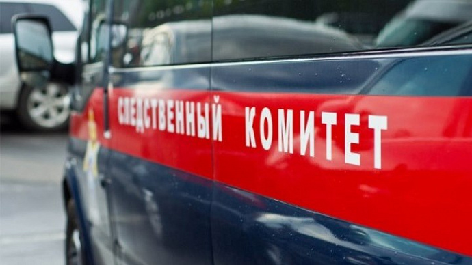 СКР проверит детский сад в Екатеринбурге после сообщения об избиении двухлетней девочки