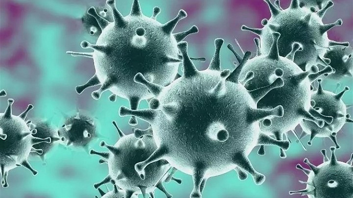 Без паники: Минздрав опроверг факт появления коронавируса в Нижнем Тагиле
