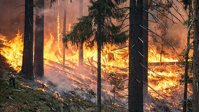На севере Свердловской области тушат семь природных пожаров