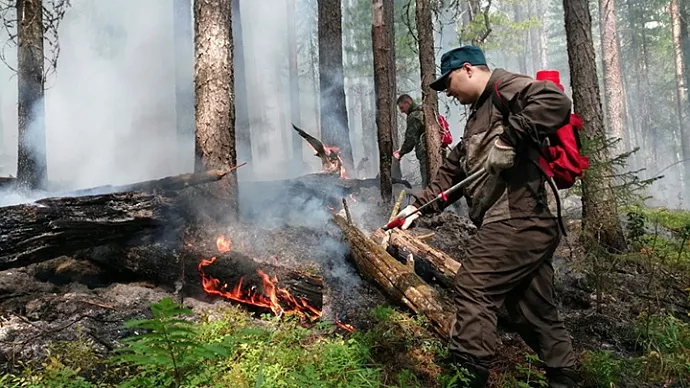 Площадь пожара в заповеднике «Денежкин камень» достигла 65 гектаров леса