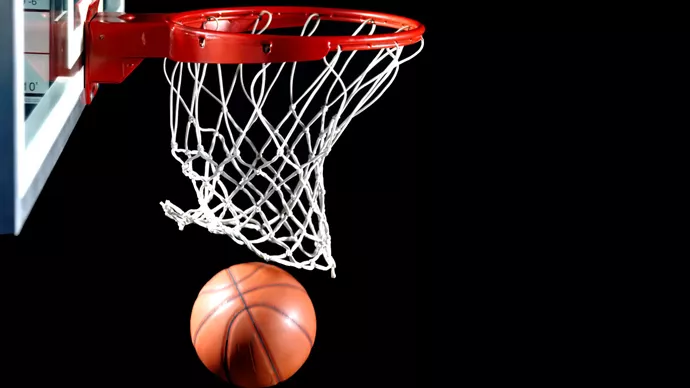 Баскетбол. УГМК – «Енисей»