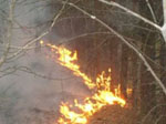 Площадь пожара в заповеднике "Денежкин камень" достигла 1000 гектаров