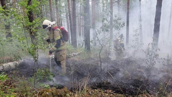 Два крупных лесных пожара удалось локализовать в Свердловской области